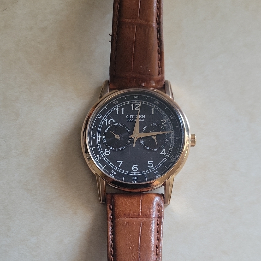 Citizen Men's Watch